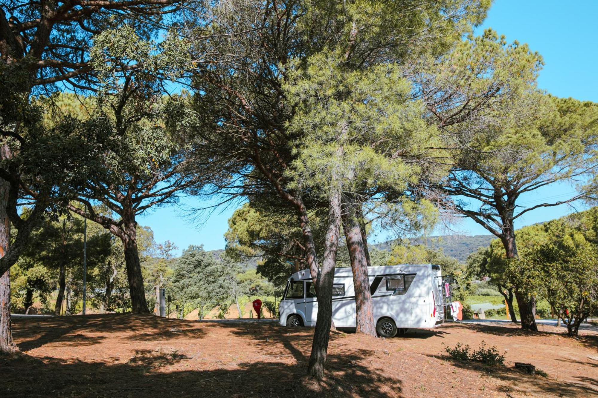 Camping Ladouceur ラマチュエル エクステリア 写真